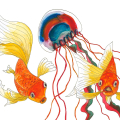 Zwei Goldfische und eine Qualle. Aquarellbild. Detailansicht des Kunstdrucks.