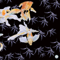 Fünf Goldfische in Aquarell vor einem schwarzen Hintergrund im Chinoiserie-Stil.