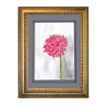 Blumenaquarell. Druck einer rosa Hortensie mit grauem Schatten vor weißem Hintergrund.