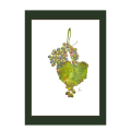 Aquarell eines grünen Weinblattes und blauen und roten Weintrauben. Die Weintrauben hängen an einem Stiel. Der Hintergrund ist weiß. Das Bild ist signiert und datiert. Grünes Passepartout