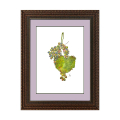 Aquarell eines grünen Weinblattes und blauen und roten Weintrauben. Die Weintrauben hängen an einem Stiel. Der Hintergrund ist weiß. Das Bild ist signiert und datiert. Brauner Holzrahmen und lilafarbenes Passepartout