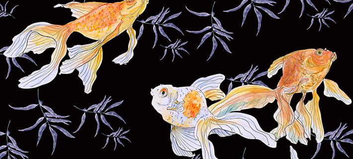 Fünf Goldfische in Aquarell vor einem schwarzen Hintergrund im Chinoiserie-Stil.