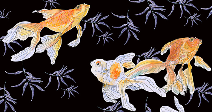 Fünf Goldfische in Aquarell vor einem schwarzen Hintergrund im Chinoiserie-Stil.