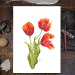 Aquarellbild. Drei orangerote Tulpen in verschiedenen Stadien der Blüte vor weißem Hintergrund. Auf dem Schreibtisch. Kunstdruck in Museumsqualiät