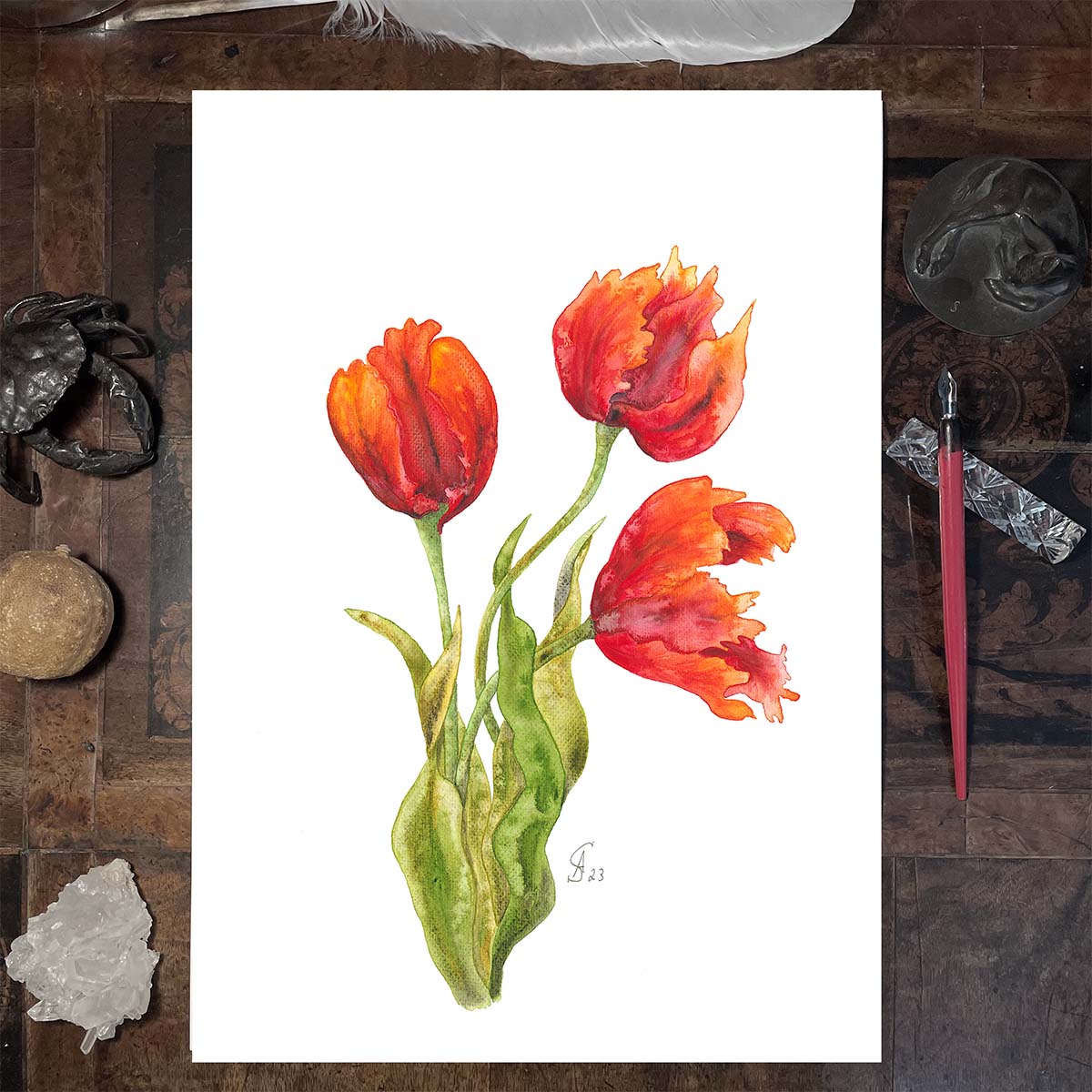 Aquarellbild. Drei orangerote Tulpen in verschiedenen Stadien der Blüte vor weißem Hintergrund. Auf dem Schreibtisch. Kunstdrucke in Museumsqualiät