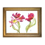 Drei Tulpen, gemalt in Aquarell auf weißem Hintergrund