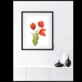 Aquarellbild. Drei orangerote Tulpen in verschiedenen Stadien der Blüte vor weißem Hintergrund. In einem Büro aufgehängt.