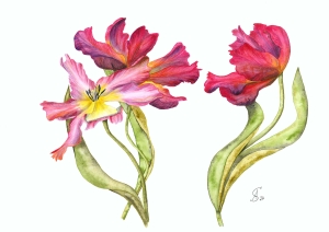 Aquarellbild. Drei Tulpen. Kunstausstellung. Langer Tag der StadtNatur